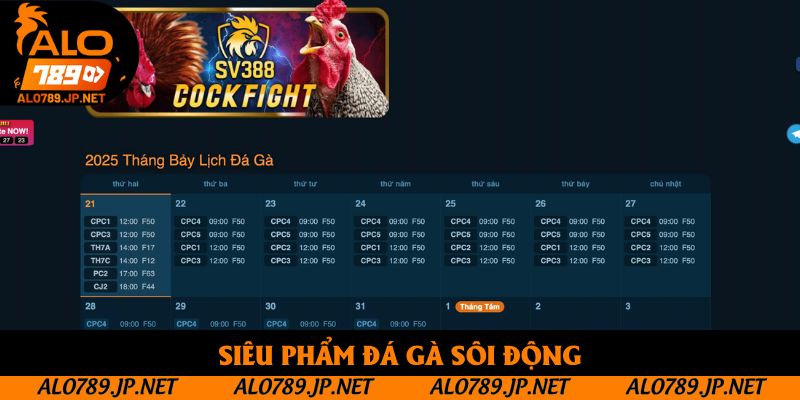TRANG CHỦ 57 Siêu phẩm đá gà sôi động