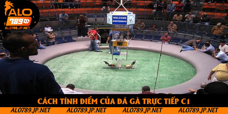 Đá Gà Trực Tiếp C1: Khám Phá Thông Tin Giải Đấu Hấp Dẫn Nhất 2025 3 Cách tính điểm của đá gà trực tiếp C1